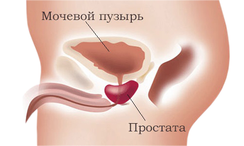 Patologija prostaty