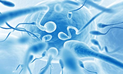 Povyshenie aktivnosti spermatozoidov