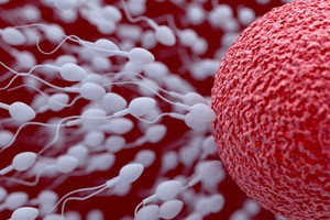 Низкая подвижность сперматозоидов и причини патолгии